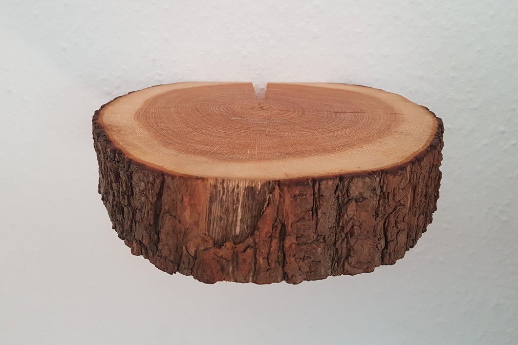 Wandboard Baumscheibe Eiche