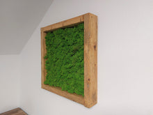 Lade das Bild in den Galerie-Viewer, Moosbild im Altholzrahmen
