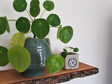 Lade das Bild in den Galerie-Viewer, Wandboard Eiche mit Rinde
